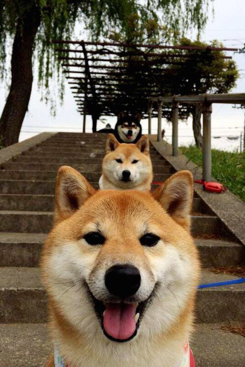 开云体育APP下载-【逆转思考】球队X的战术调整背后逻辑，球队战术怎么设置