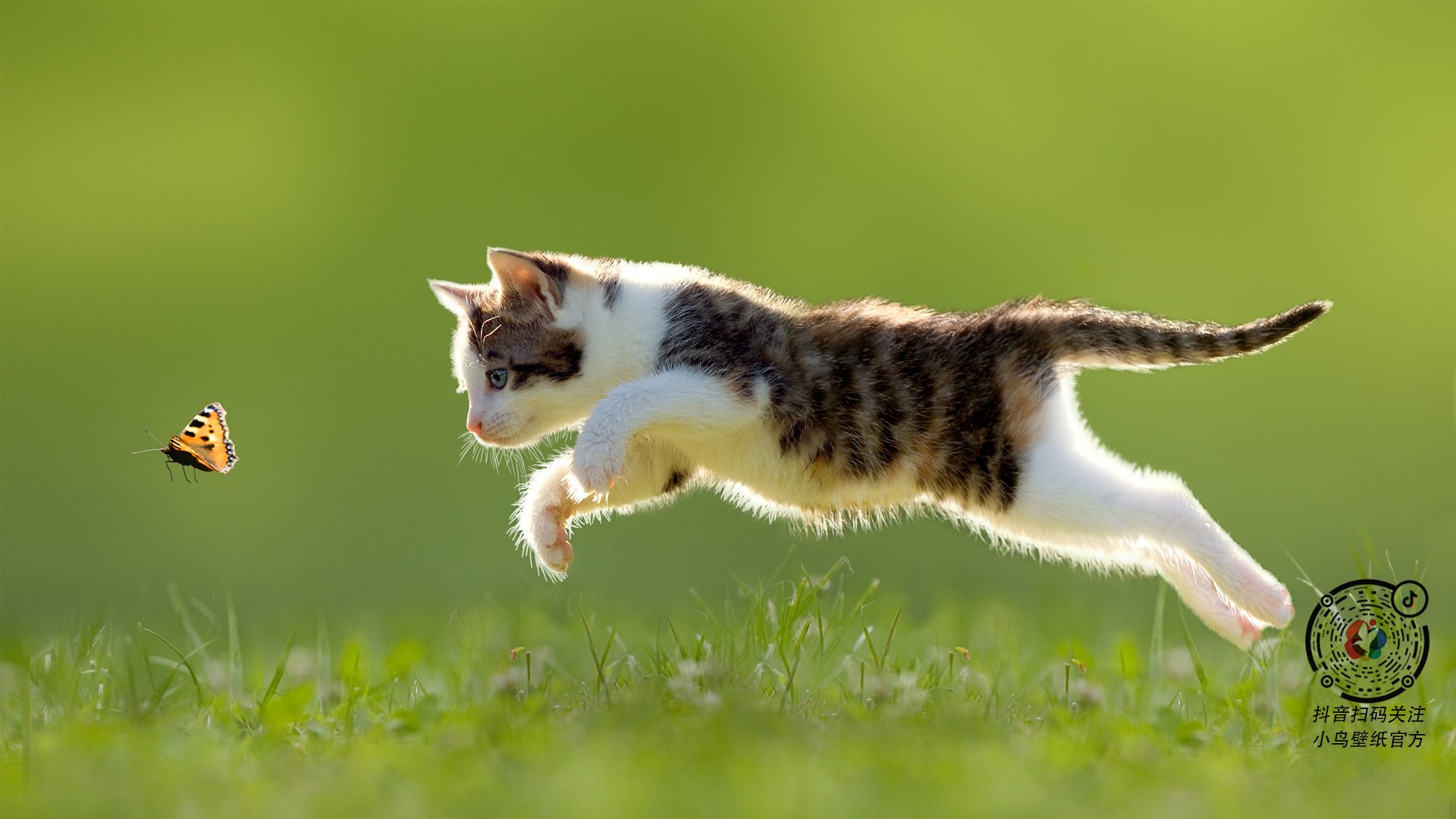 国际网联宣布改革青少年积分体系，利好亚洲球员，国际青少年网球赛事